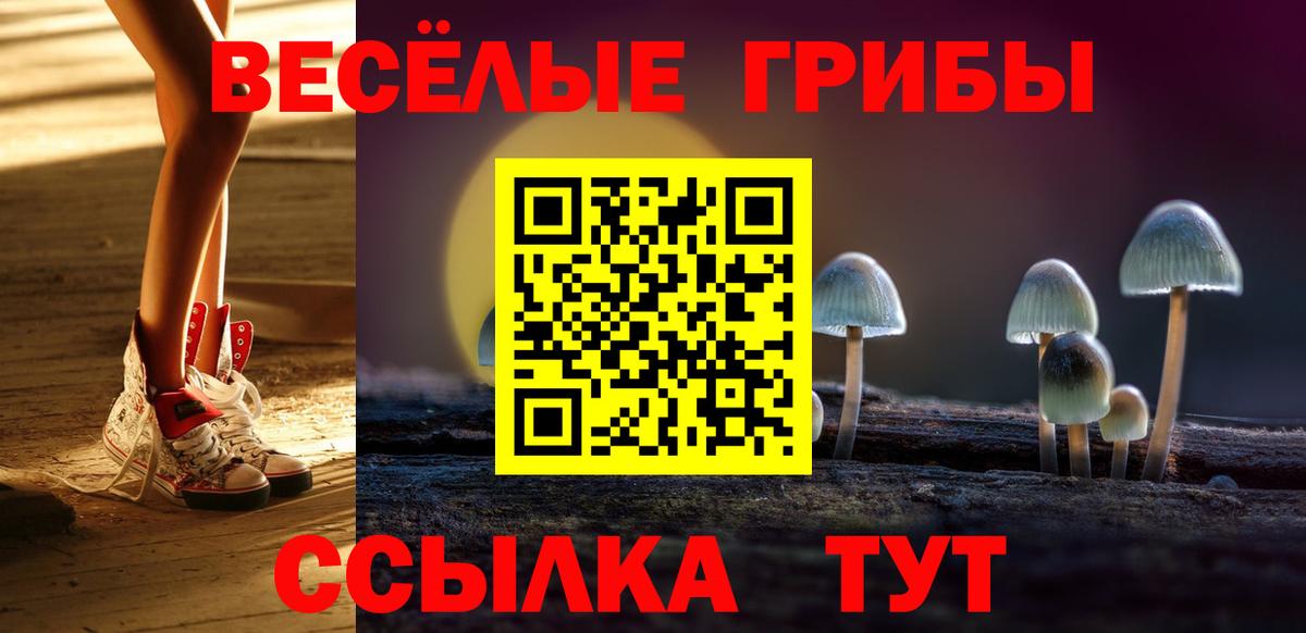 Галлюциногенные грибы мицелий Клинцы